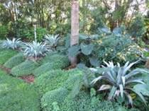 Gardening in the Tropics